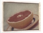 Grapefruit by Jennifer Kennard