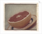 Grapefruit by Jennifer Kennard