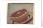 Grapefruit by Jennifer Kennard