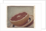 Grapefruit by Jennifer Kennard