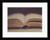 Open Book 11 by Jennifer Kennard