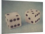 Pair of Dice by Jennifer Kennard