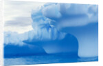Iceberg by Anonymous