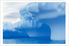 Iceberg by Anonymous