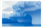 Iceberg by Anonymous