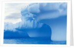 Iceberg by Anonymous