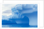 Iceberg by Anonymous