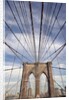 Low angle view of suspension cables, Brooklyn Bridge, New York City, New York, USA by Anonymous