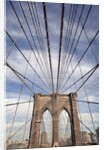 Low angle view of suspension cables, Brooklyn Bridge, New York City, New York, USA by Anonymous