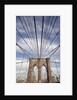 Low angle view of suspension cables, Brooklyn Bridge, New York City, New York, USA by Anonymous