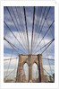 Low angle view of suspension cables, Brooklyn Bridge, New York City, New York, USA by Anonymous