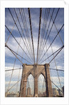 Low angle view of suspension cables, Brooklyn Bridge, New York City, New York, USA by Anonymous