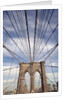 Low angle view of suspension cables, Brooklyn Bridge, New York City, New York, USA by Anonymous