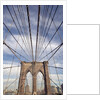 Low angle view of suspension cables, Brooklyn Bridge, New York City, New York, USA by Anonymous