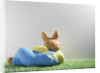 Easter bunny lying on grass by Anonymous