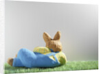 Easter bunny lying on grass by Anonymous