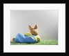 Easter bunny lying on grass by Anonymous