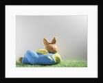 Easter bunny lying on grass by Anonymous