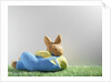 Easter bunny lying on grass by Anonymous
