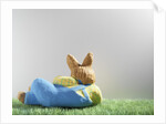 Easter bunny lying on grass by Anonymous