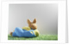 Easter bunny lying on grass by Anonymous