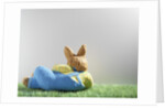 Easter bunny lying on grass by Anonymous