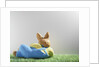 Easter bunny lying on grass by Anonymous