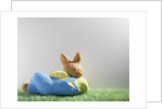 Easter bunny lying on grass by Anonymous