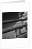 Black and white tilted view of horse grazing in meadow with wooden fence in foreground by Anonymous