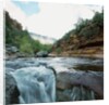 Low angle view of stream running through rural setting by Anonymous