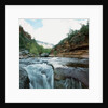 Low angle view of stream running through rural setting by Anonymous