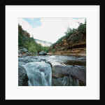 Low angle view of stream running through rural setting by Anonymous