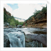 Low angle view of stream running through rural setting by Anonymous