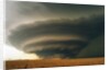 Supercell and Wheat Field by Anonymous