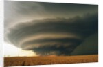 Supercell and Wheat Field by Anonymous