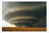 Supercell and Wheat Field by Anonymous