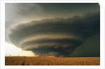 Supercell and Wheat Field by Anonymous