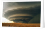 Supercell and Wheat Field by Anonymous