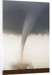 Tornado by Anonymous