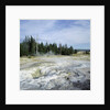 Geyser steaming, Yellowstone National Park, Wyoming, USA by Anonymous