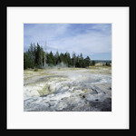 Geyser steaming, Yellowstone National Park, Wyoming, USA by Anonymous