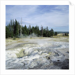 Geyser steaming, Yellowstone National Park, Wyoming, USA by Anonymous