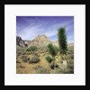 Tree in desert setting with rock formations in the background by Anonymous
