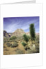 Tree in desert setting with rock formations in the background by Anonymous