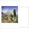 Tree in desert setting with rock formations in the background by Anonymous