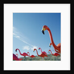 Pink flamingo lawn ornaments by Anonymous
