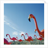 Pink flamingo lawn ornaments by Anonymous