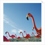 Pink flamingo lawn ornaments by Anonymous