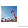 Pink flamingo lawn ornaments by Anonymous