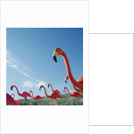 Pink flamingo lawn ornaments by Anonymous